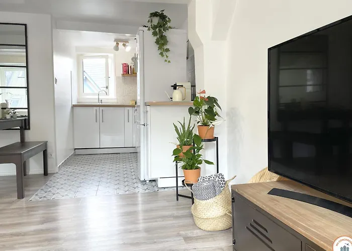 Le Saint Maclou - Rue Martainville - Duplex